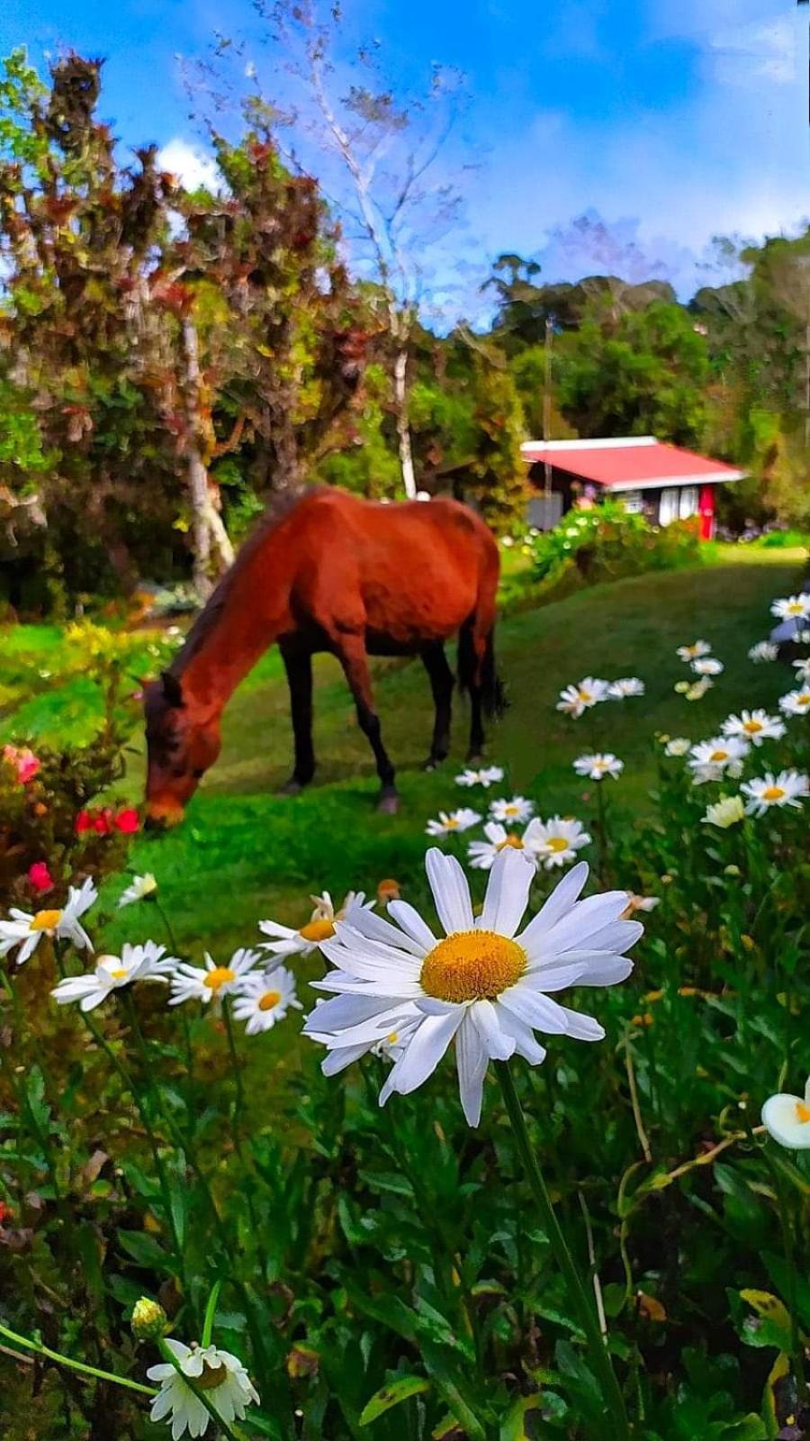 Holiday home La Picuda Quetzal